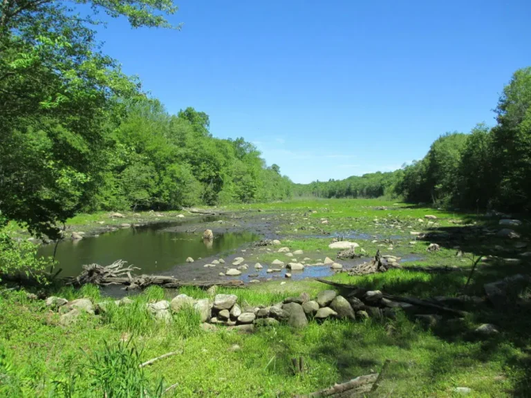 IMG_0354-1-e1544717587138