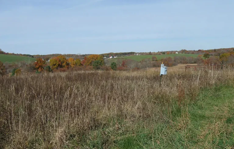 IMG_7940_RonTillen-1