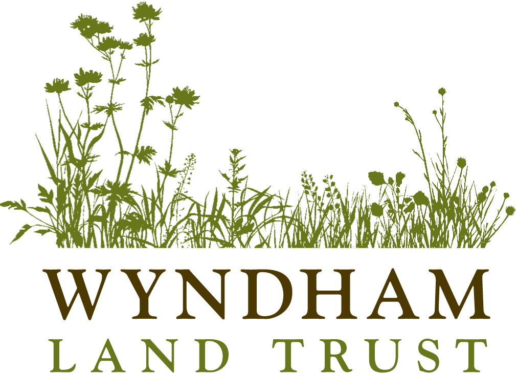 Wyndham Land Trust logo