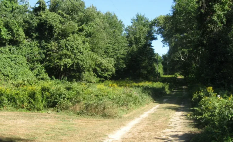 Ayers-Road-e1544718569631